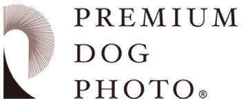 PREMIUM DOG PHOTO