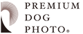 PREMIUM DOG PHOTO